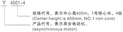 西安泰富西玛Y系列(H355-1000)高压YRKK5002-10三相异步电机型号说明