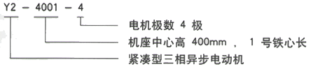 YR系列(H355-1000)高压YRKK5002-10三相异步电机西安西玛电机型号说明